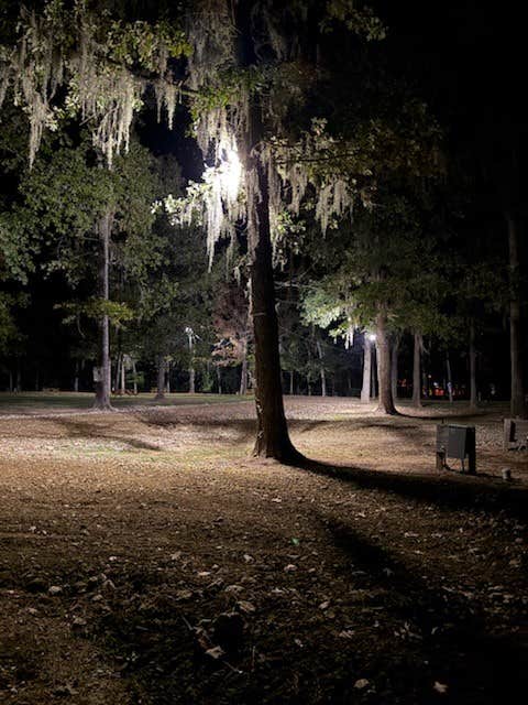 Camper-submitted photo at Saline Lake Campground near Winnfield, LA