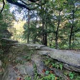 Review photo of Shades State Park Campground by Cynthia K., September 23, 2025