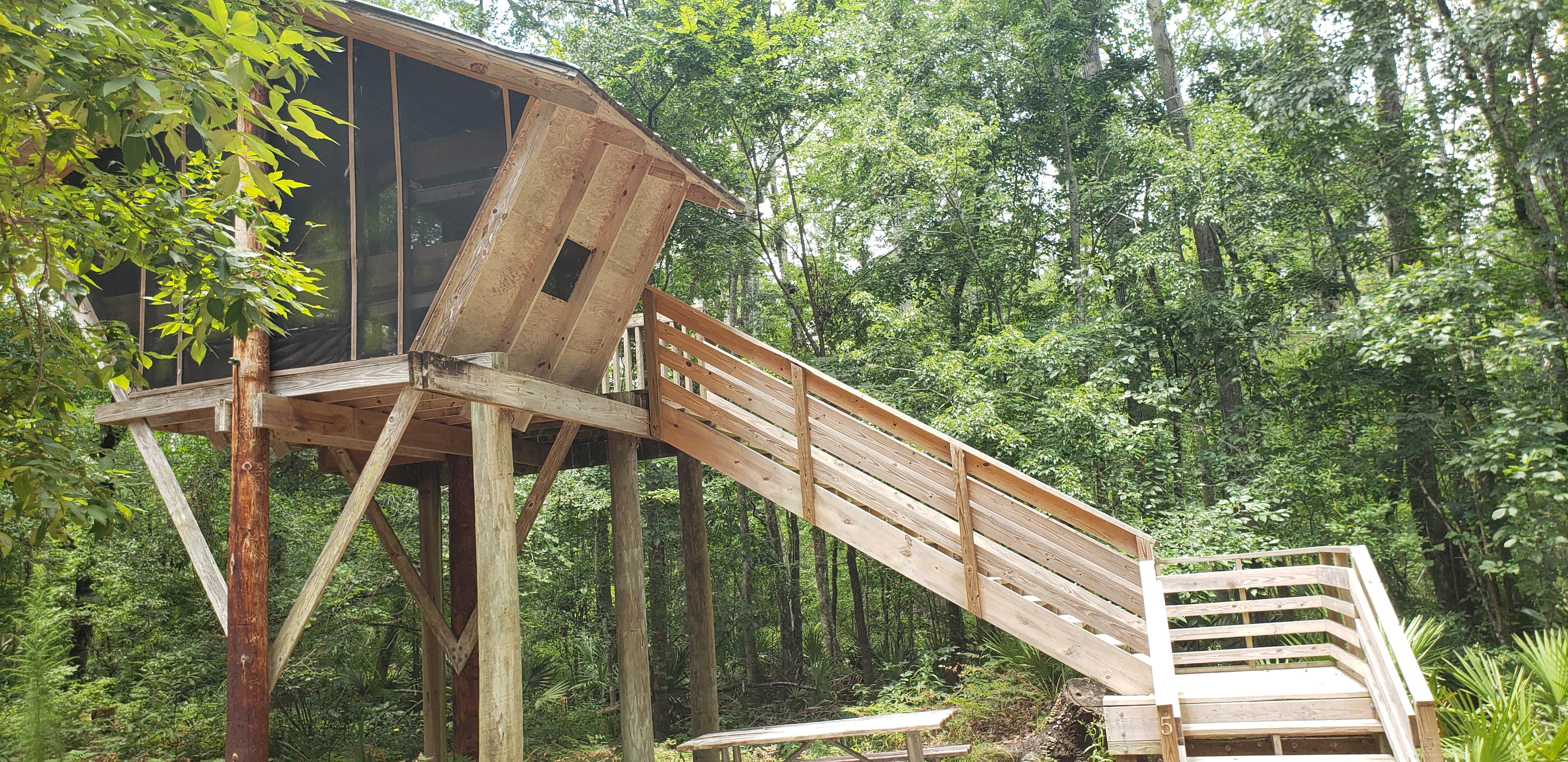 Jeanene A.'s photo of a cabin at Camp Chowenwaw Park near Hawthorne, FL
