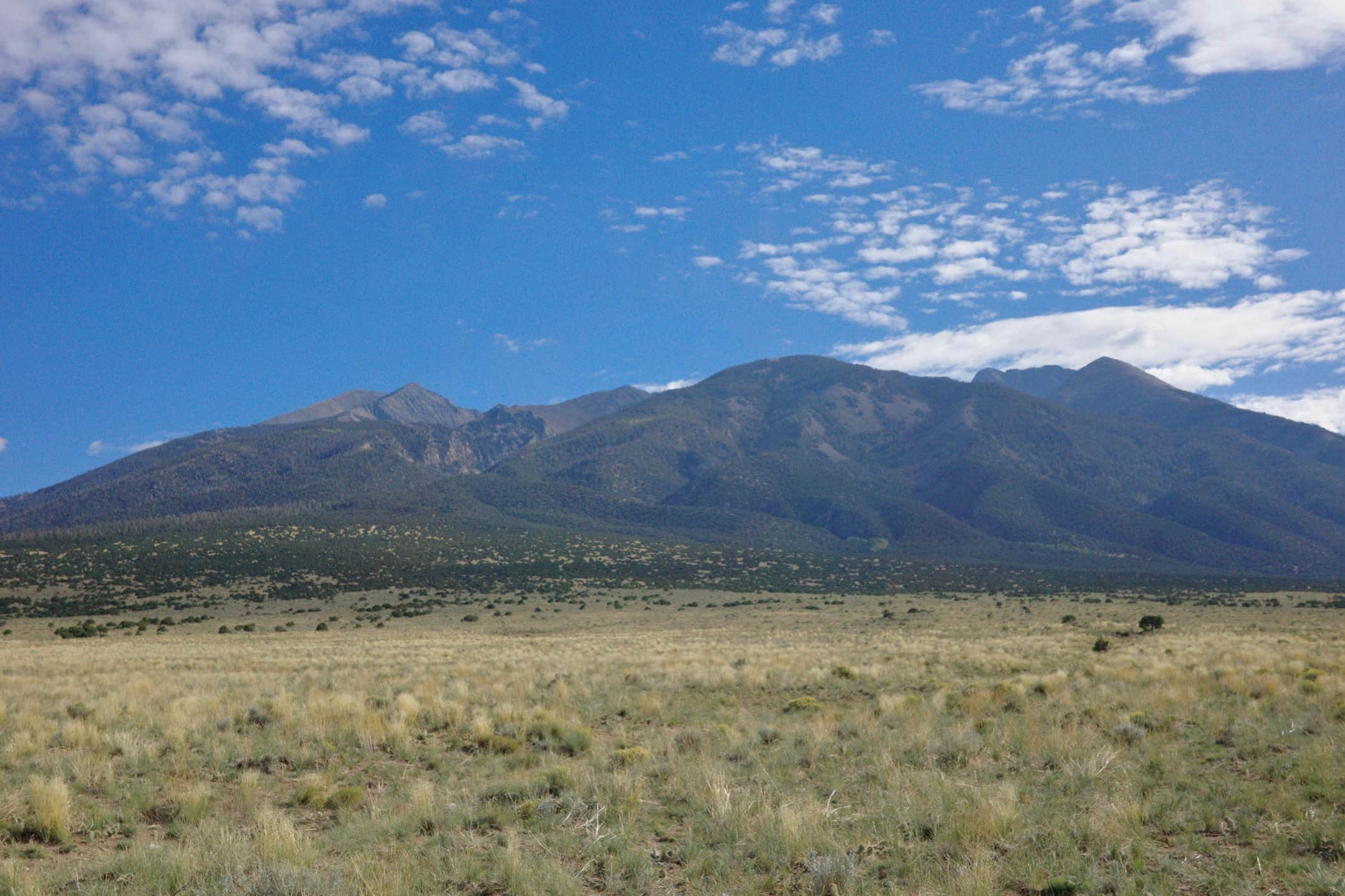 Camper submitted image from BLM Mt. Blanca Rd. Dispersed - 1