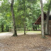 Review photo of Camp Chowenwaw Park - Treehouse Point by Jeanene A., August 2, 2019