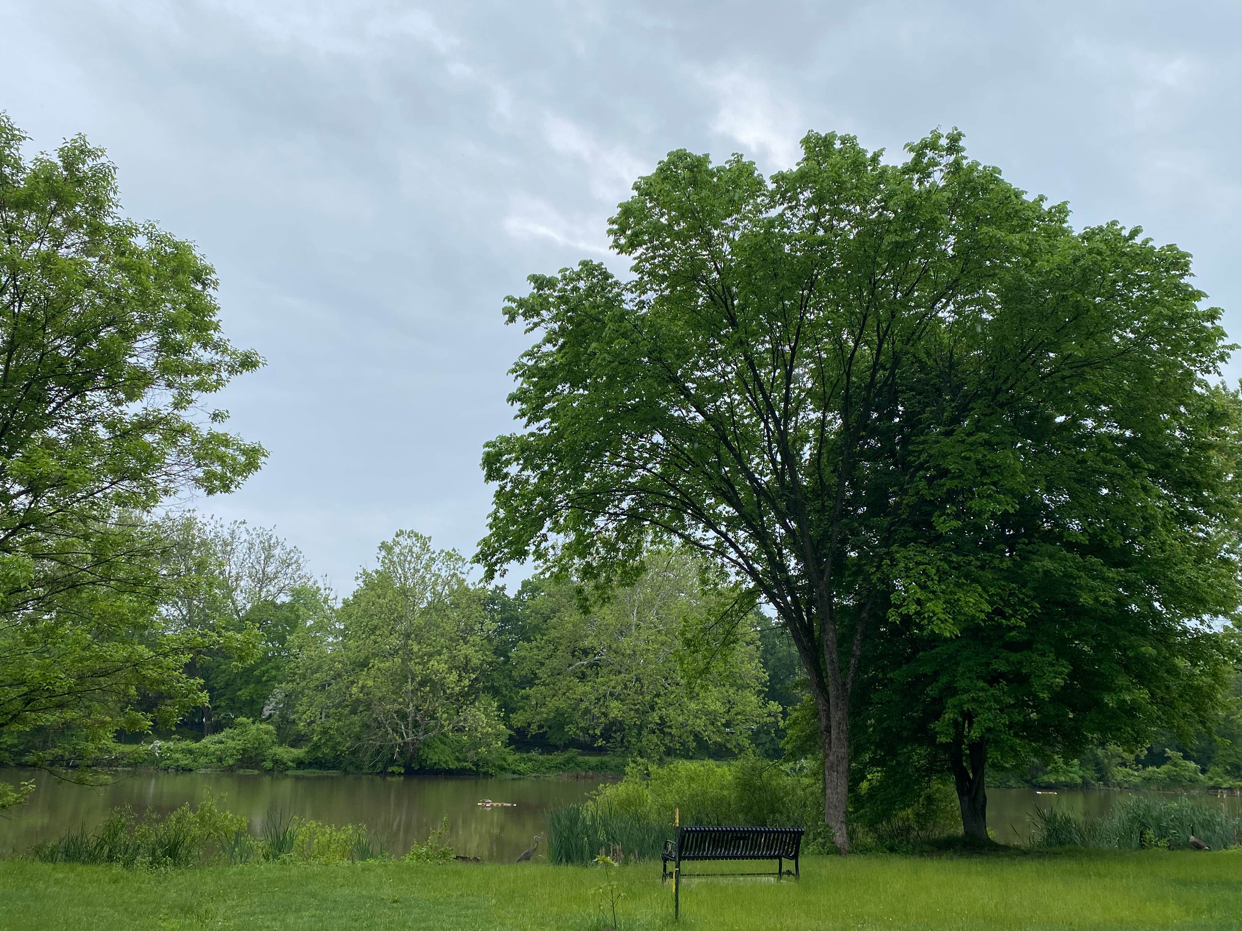 Camper-submitted photo at Washington Crossing State Park - TEMP CLOSED FOR 2024 near Fort Washington, PA