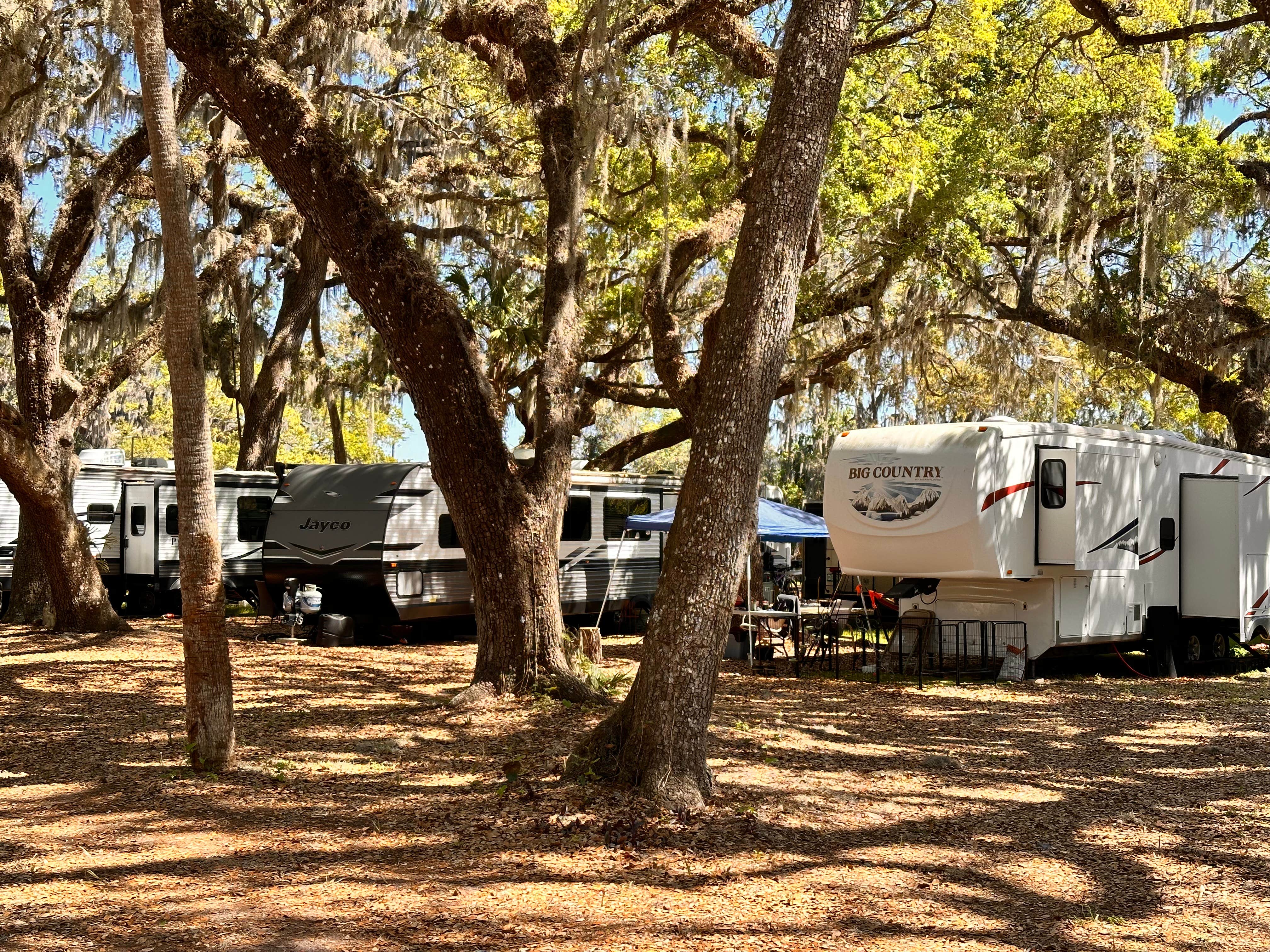 Dalton T.'s photo at Lakeside haven rv park near Umatilla, FL