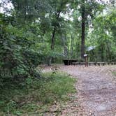 Review photo of Camp Chowenwaw Park by Jeanene A., August 2, 2019