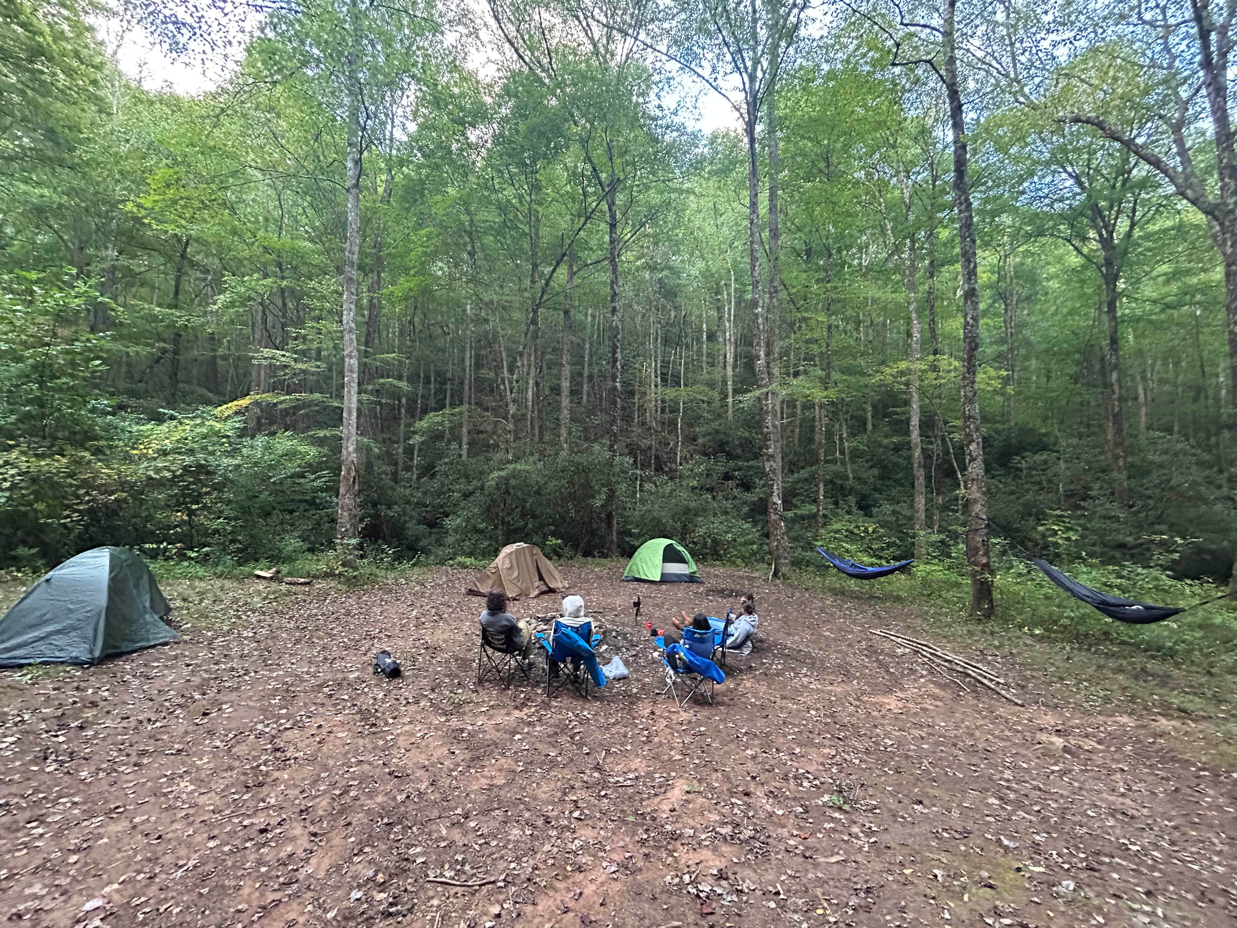 austin C.'s photo of a dispersed camping area at Corbin Creek Tray Mountain near Murphy, NC