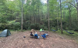 austin C.'s photo of a dispersed camping area at Corbin Creek Tray Mountain near Cleveland, GA