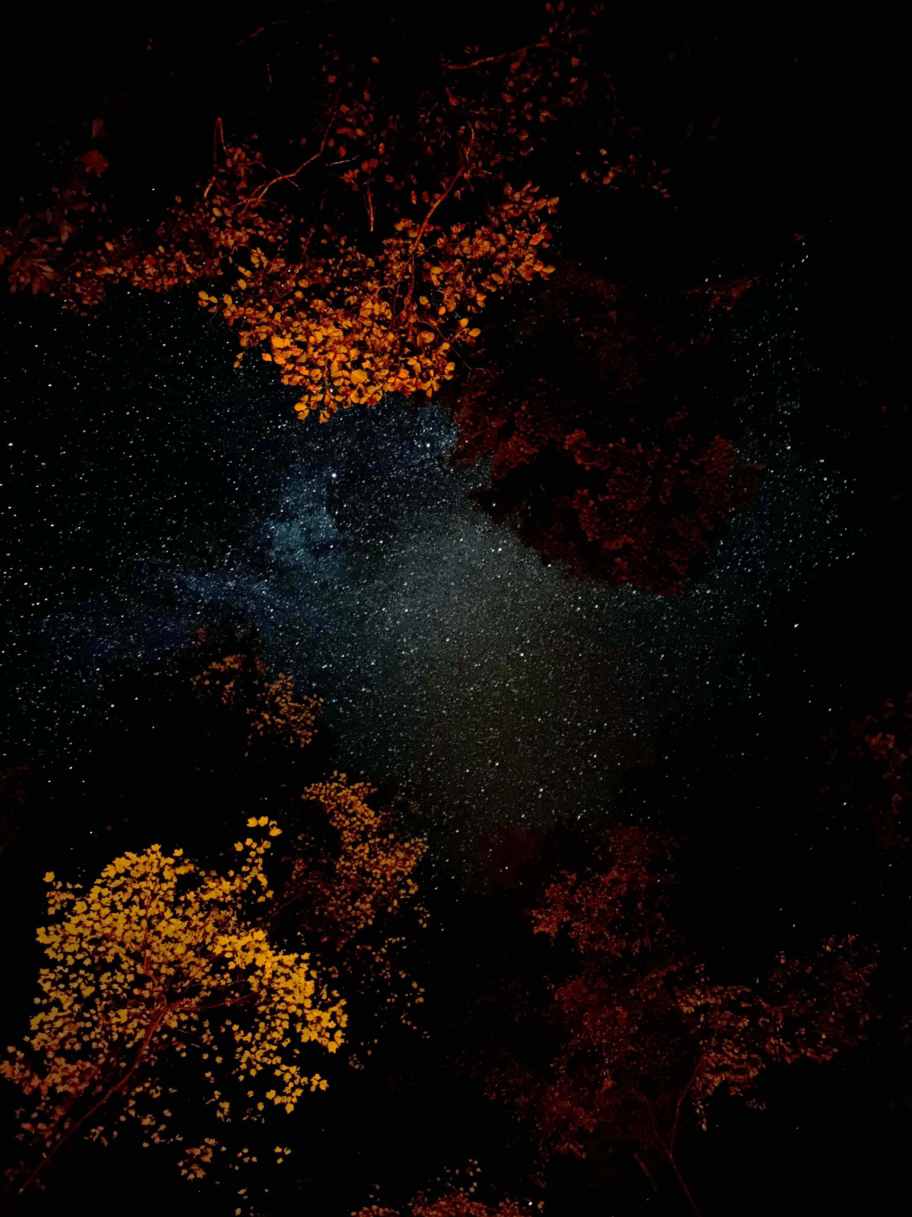 Camper-submitted photo at Corbin Creek Tray Mountain near Lake Sidney Lanier