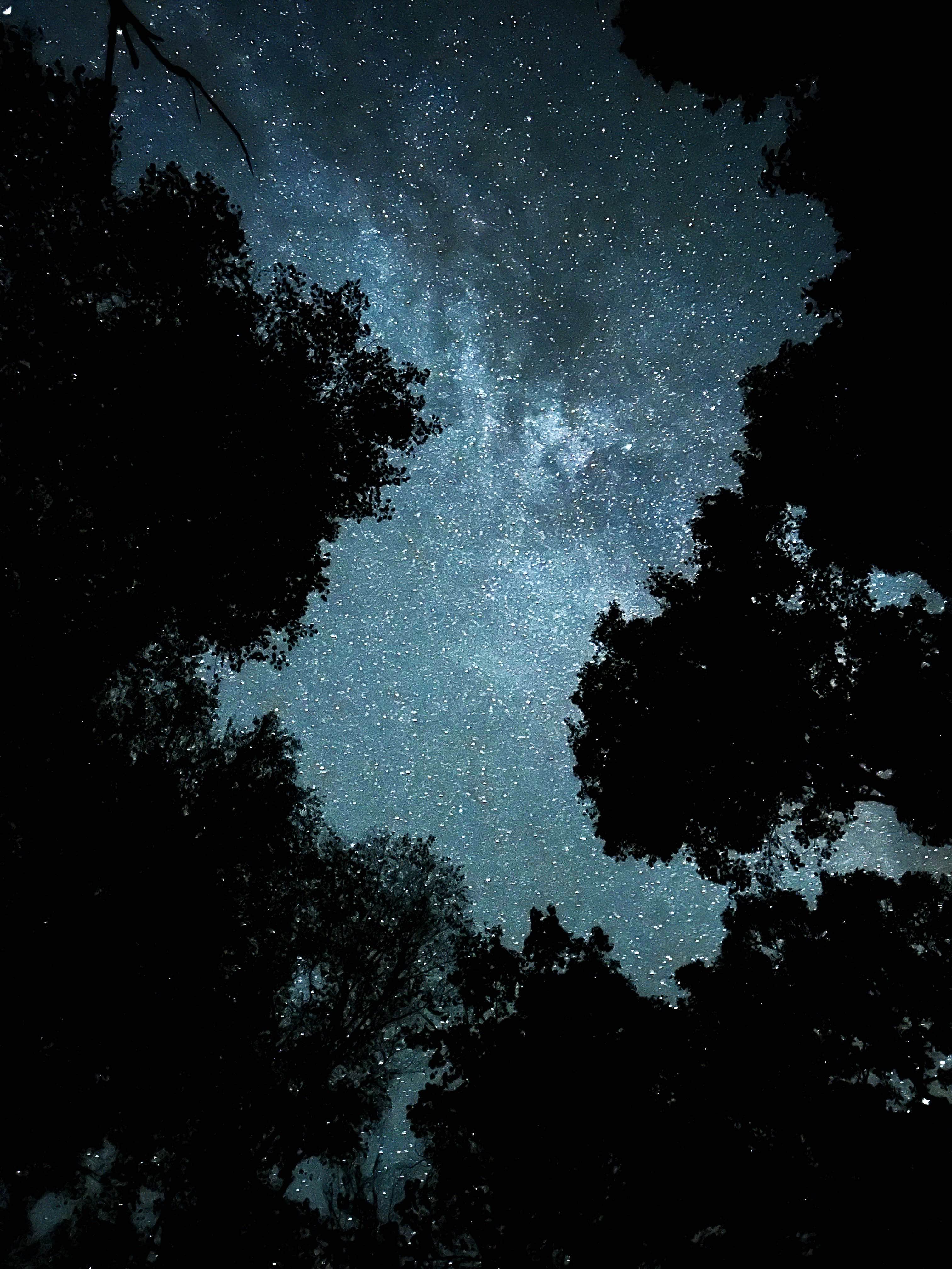 austin C.'s photo of a dispersed camping area at Corbin Creek Tray Mountain near Lake Sidney Lanier