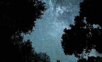 austin C.'s photo of a dispersed camping area at Corbin Creek Tray Mountain near Seneca, SC