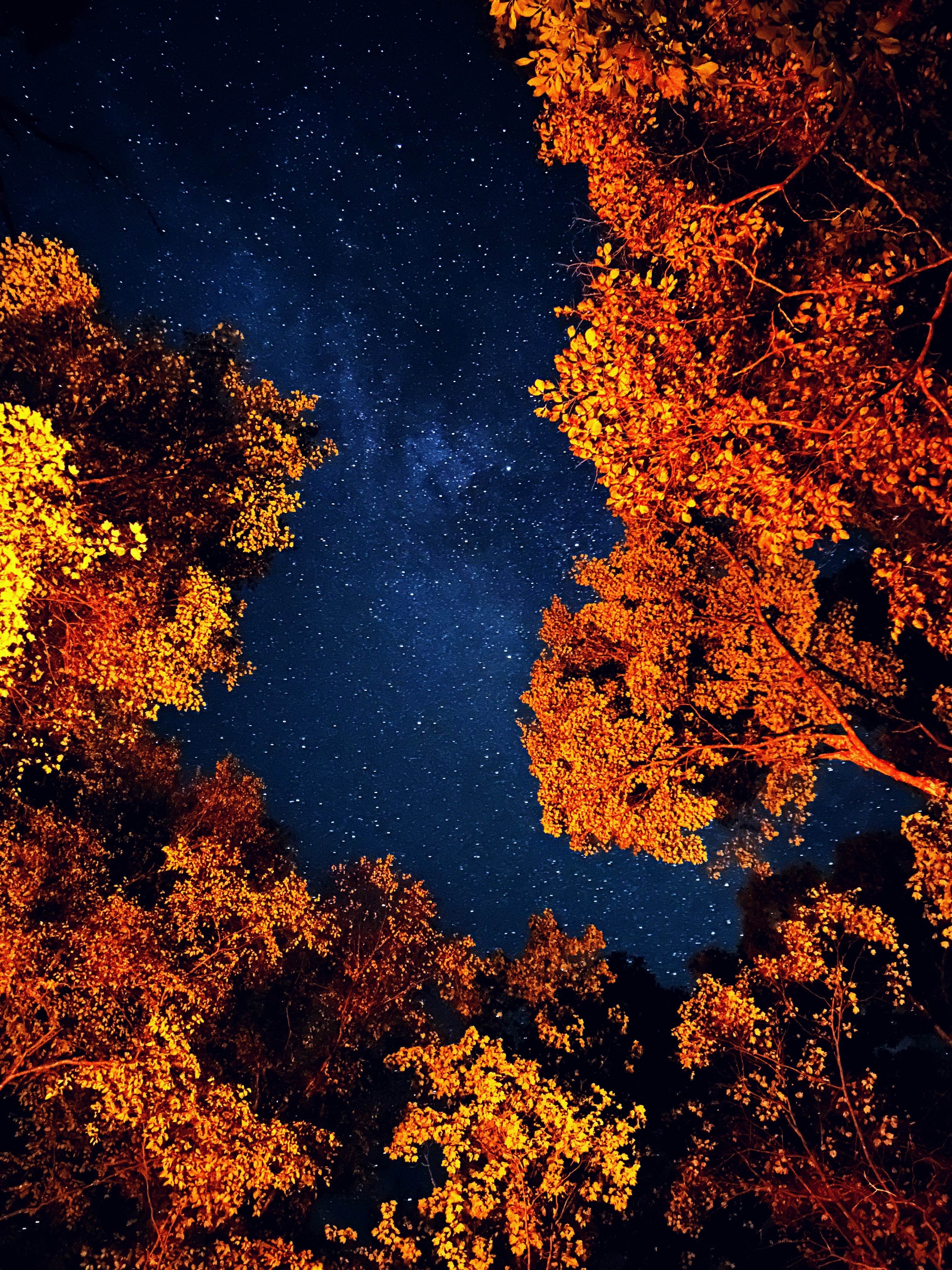 Camper-submitted photo at Corbin Creek Tray Mountain near Lake Sidney Lanier