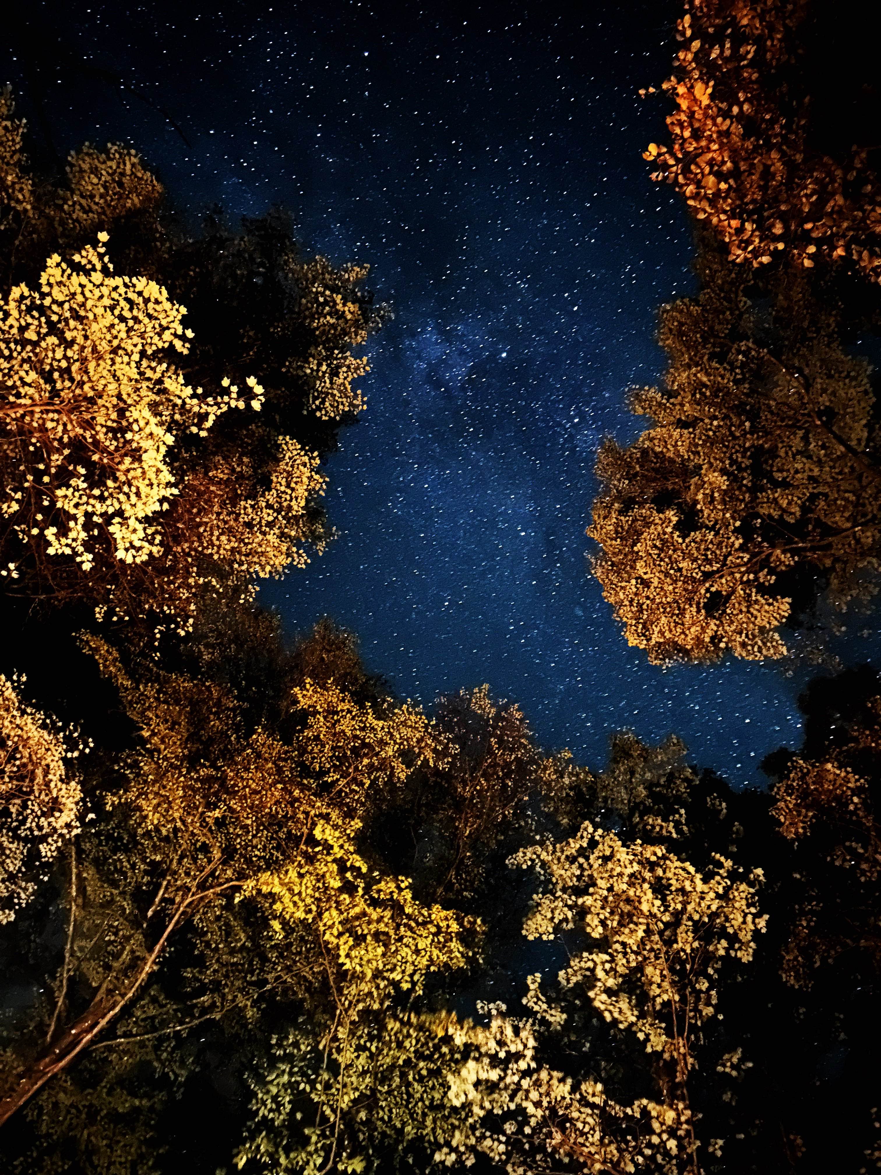 Camper submitted image from Corbin Creek Tray Mountain - 1