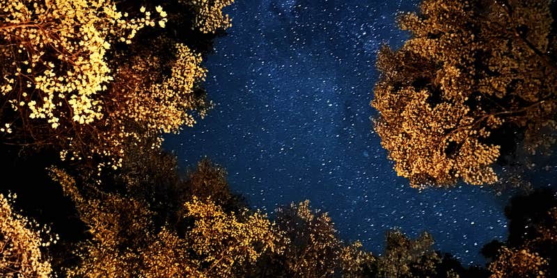 Camper submitted image from Corbin Creek Tray Mountain