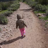 Review photo of Lost Dutchman State Park Campground by Dawn C., August 2, 2019