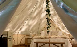 The Dyrt's photo at Rustic Ridge in Arkansas