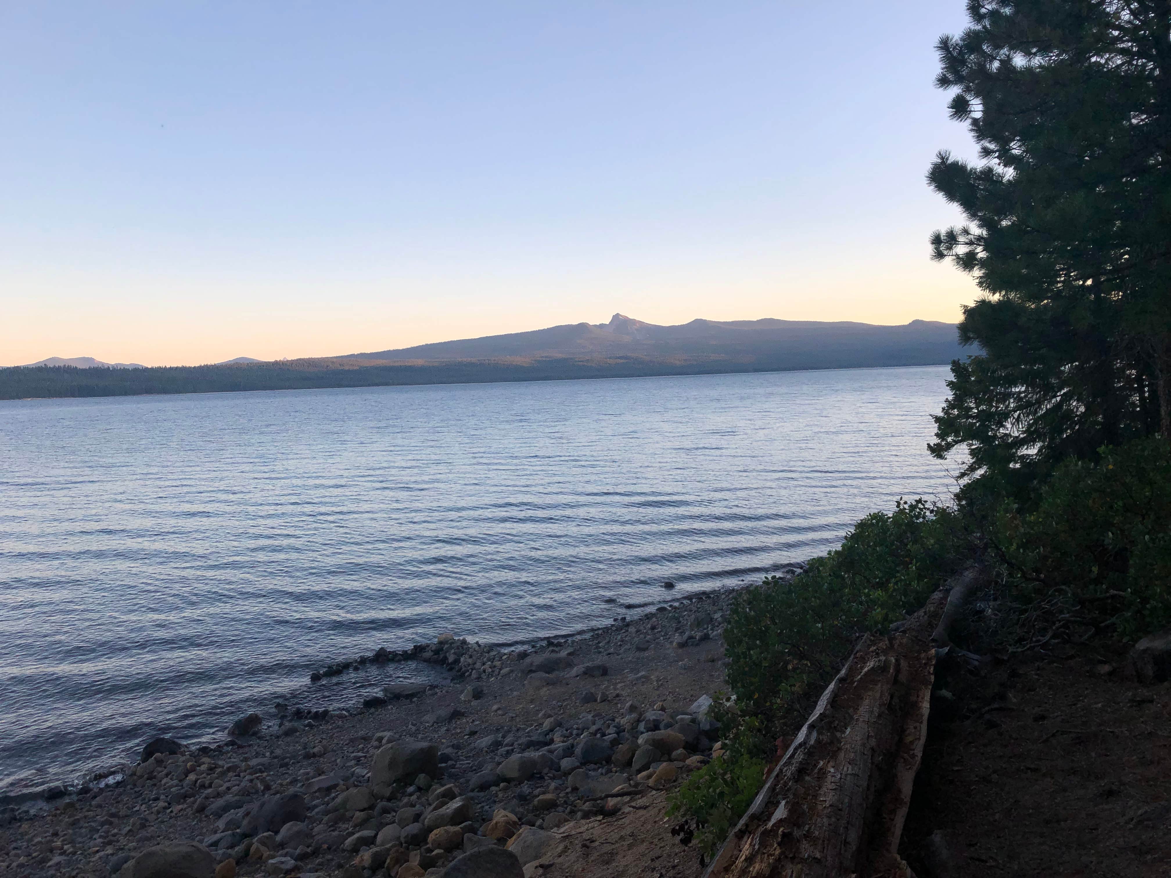 View All