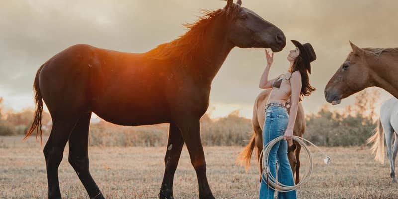 Camper submitted image from Lake Georgia Sue