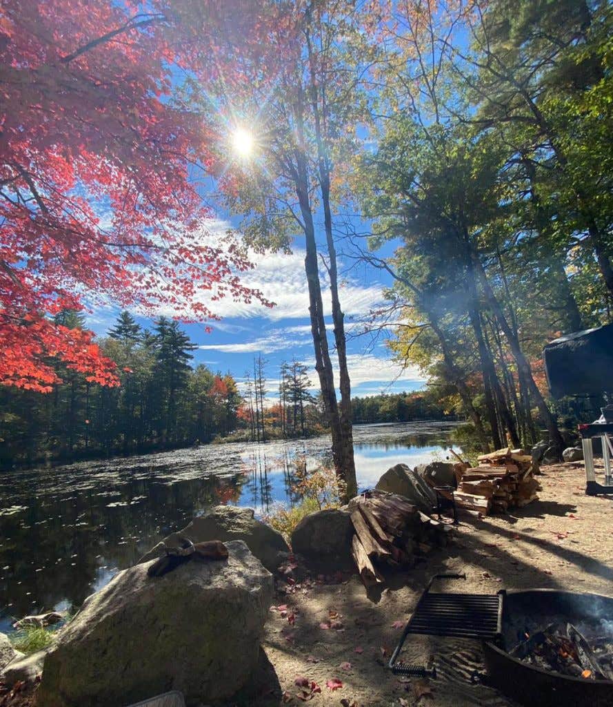 Camper submitted image from Acres Of Wildlife Campground - 2