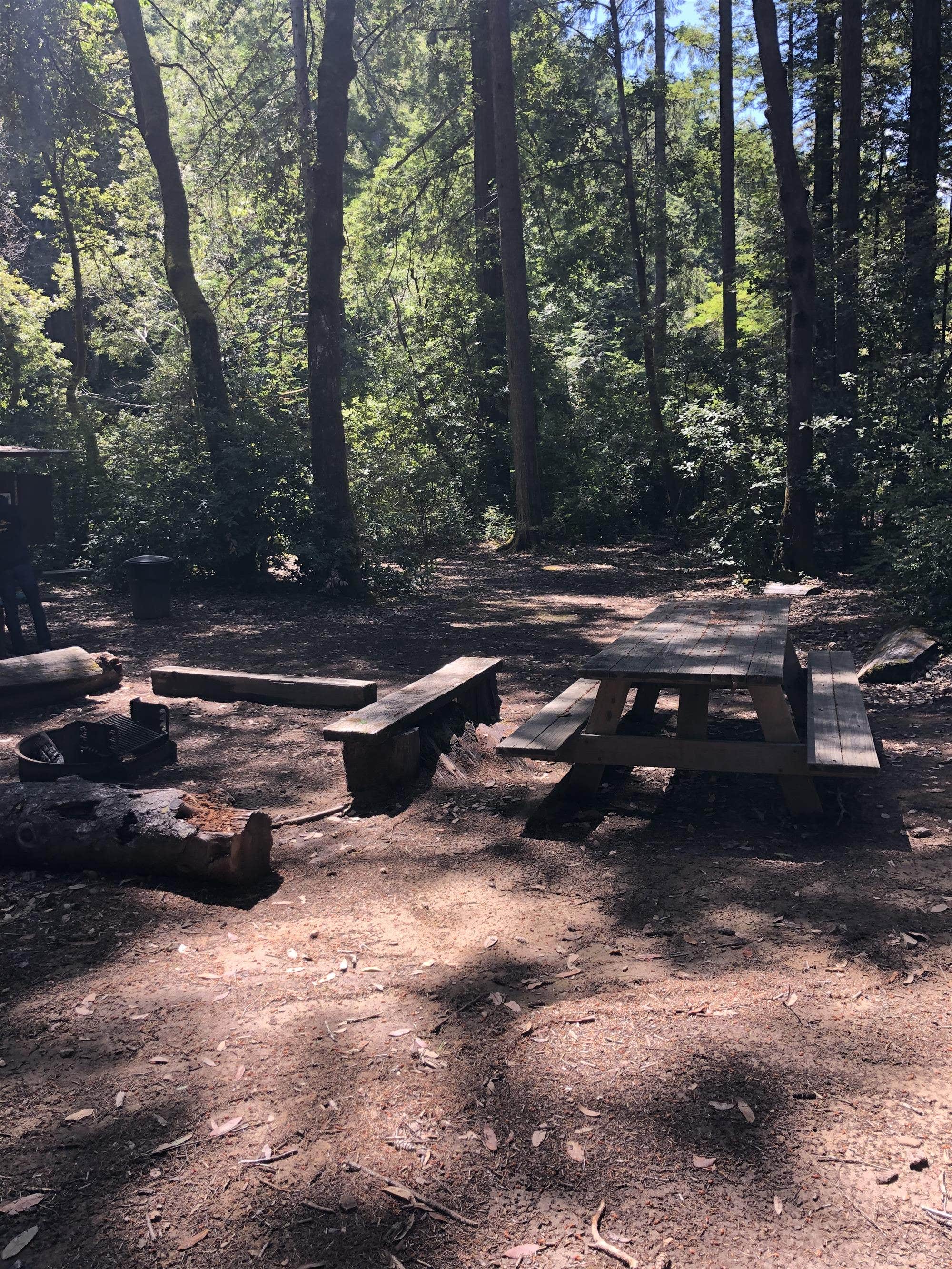 Camper submitted image from Camp Noyo - 2
