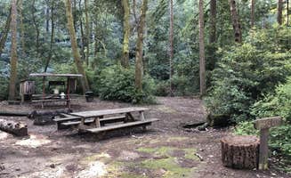 The Dyrt's photo of a cabin at Camp Noyo near Petaluma, CA