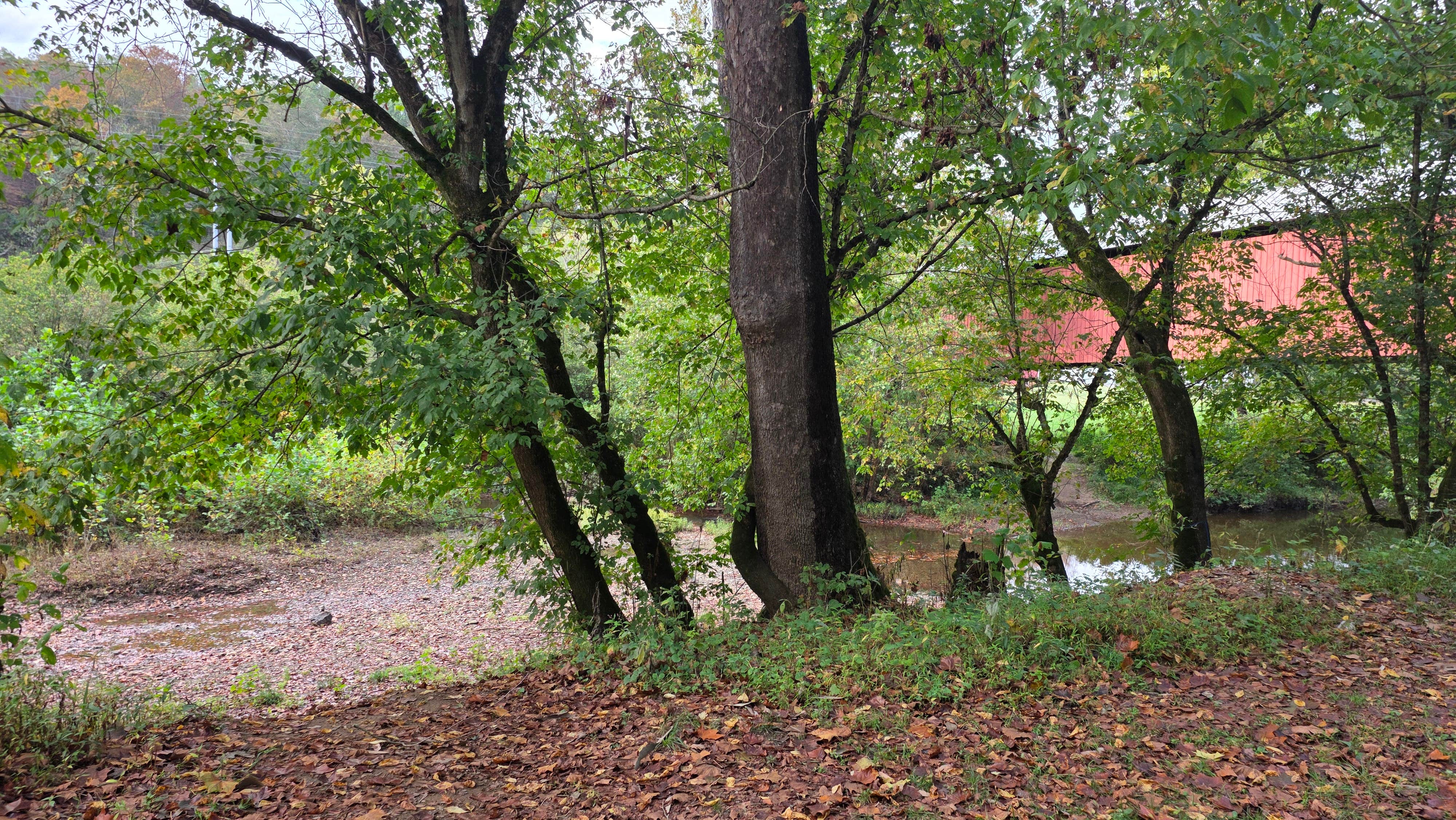 Camper-submitted photo at Hune Bridge Campground near Waverly, WV