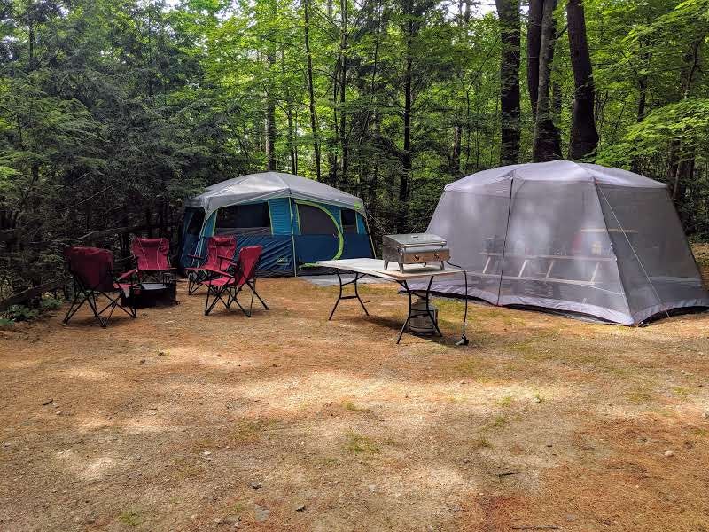 Clean campsites surrounded by trees