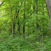 Review photo of Lake Bemidji State Park Campground by Kara T., August 1, 2019