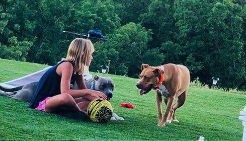 Robert S.'s photo of camping with pets at The Riviera RV Resort near Kaiser, MO