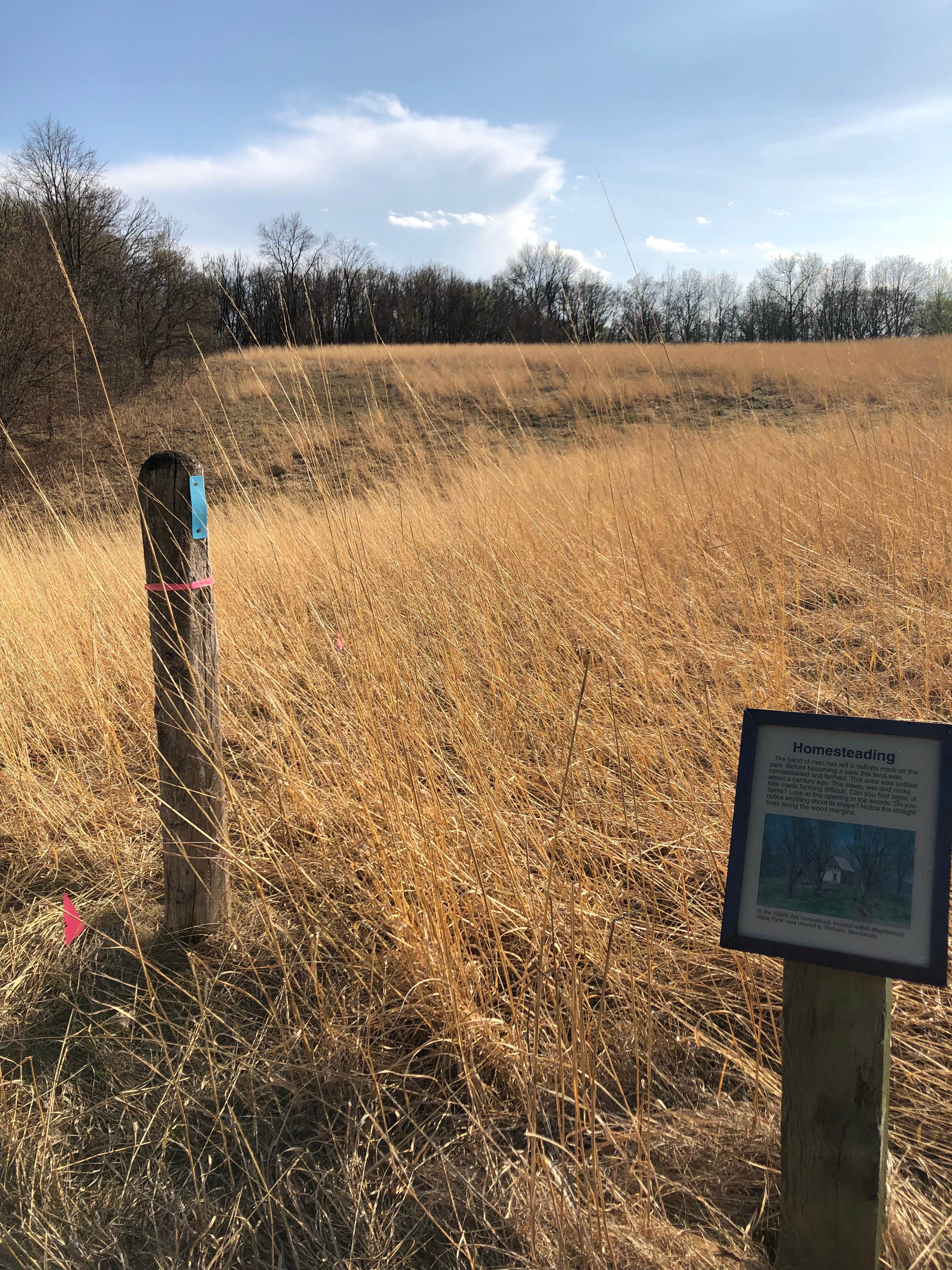 Camper-submitted photo at Maplewood State Park Campground near Fargo, ND
