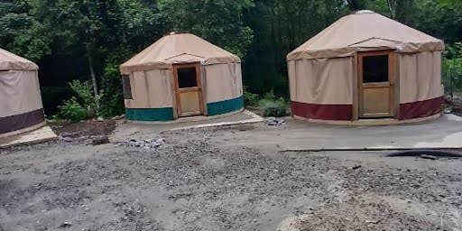 Camper submitted image from Farmstead at Mill Spring