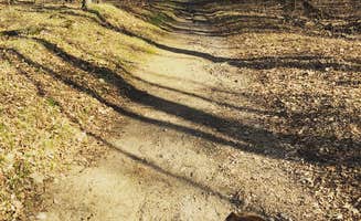 Kara T.'s photo of camping with pets at Maplewood State Park Campground near French, MN