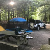 Review photo of Gifford Woods State Park Campground by Scott G., August 2, 2019