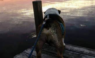 Matthew J.'s photo of camping with pets at Hattie Sherwood Park near Neenah, WI