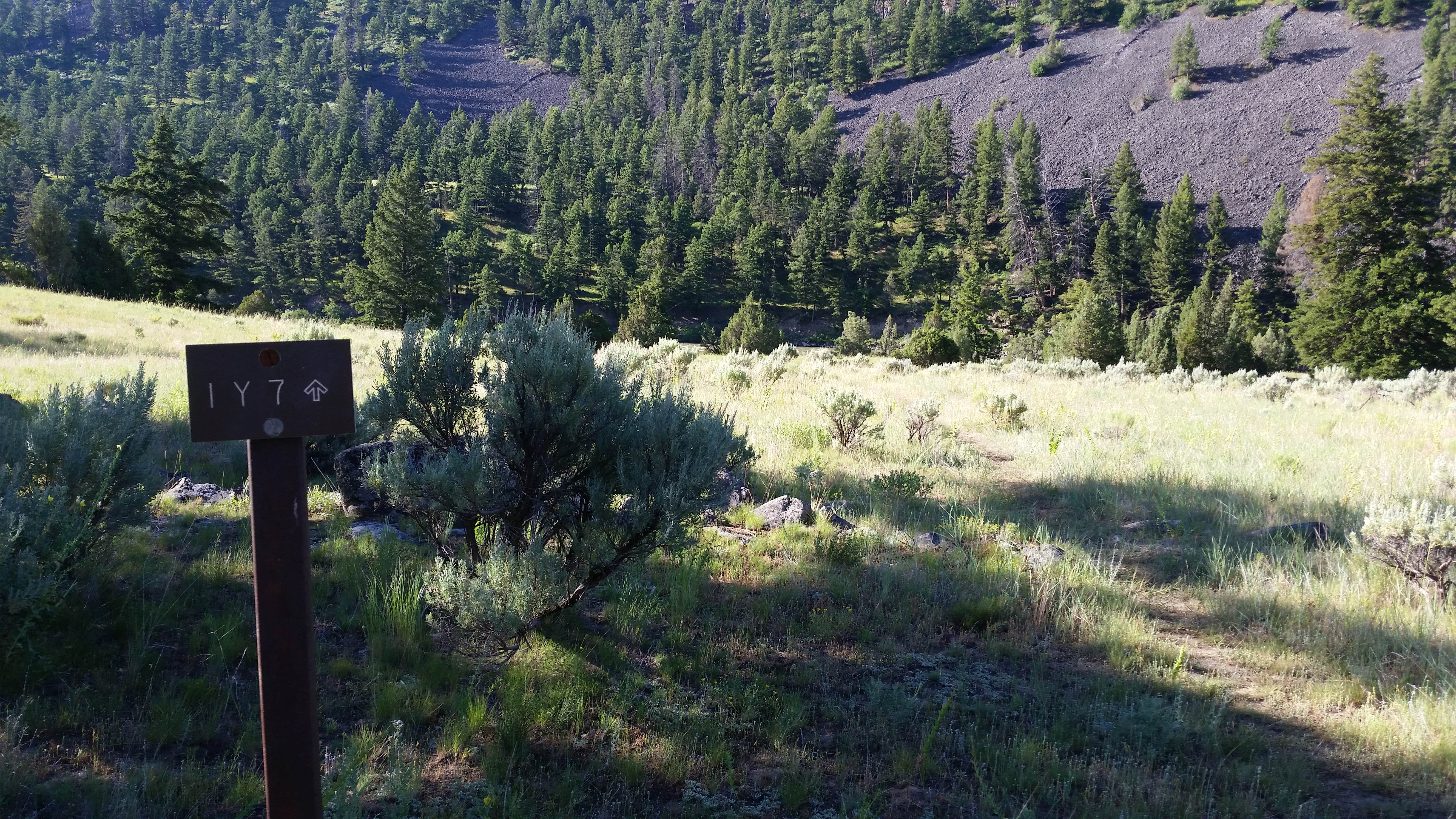 Camper submitted image from 1Y7 - Yellowstone N.P. Backcountry campsite - 1