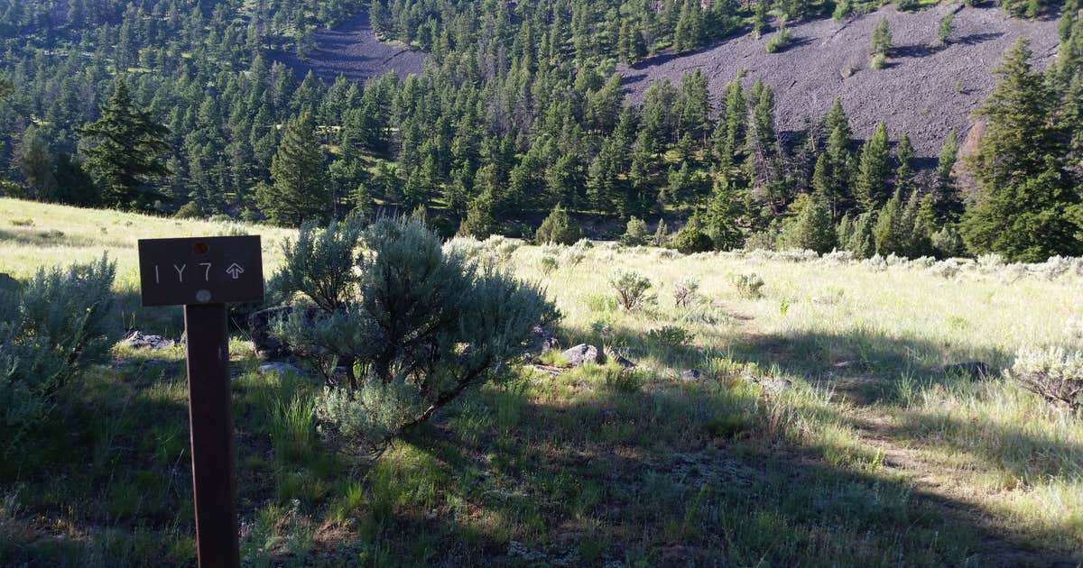 1Y7 Yellowstone N.P. Backcountry campsite — Yellowstone National Park