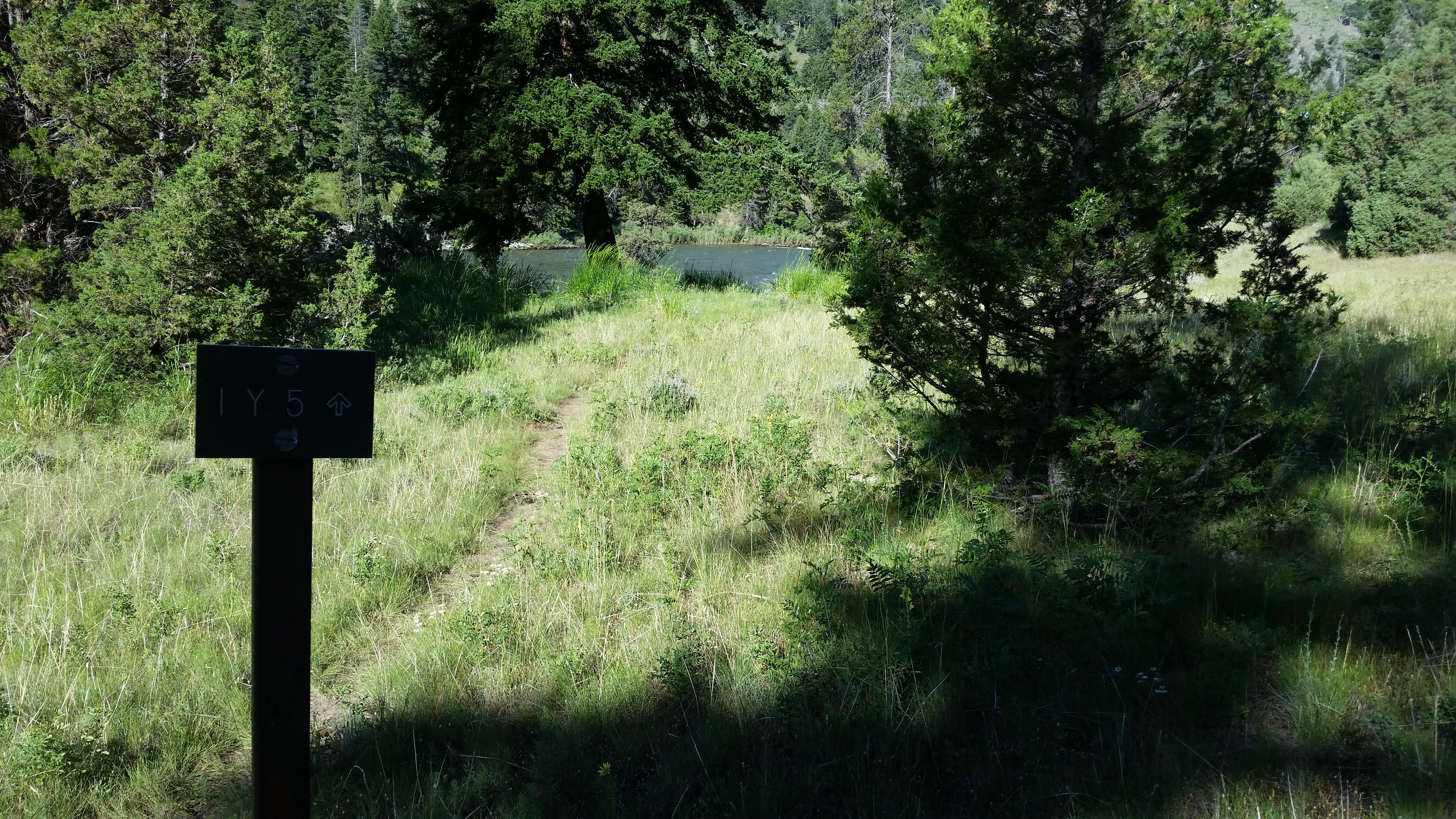 Camper submitted image from 1Y5 - Yellowstone NP back country campsite - 1