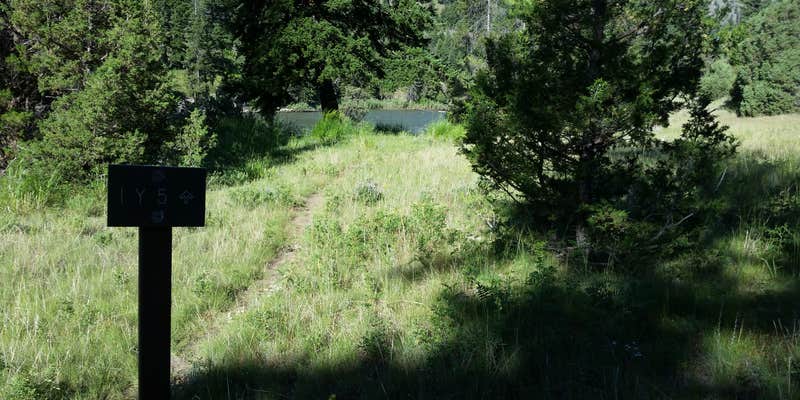 Camper submitted image from 1Y5 Backcountry Campsite — Yellowstone National Park
