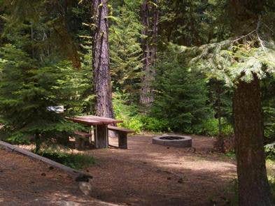 Camper submitted image from French Creek Campground - 1