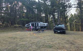 Tim T.'s photo at Elliston Dispersed Camping on Forest Road 314 near Elliston, MT