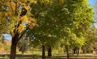Stuart K.'s photo of camping with pets at Geneseo Izaak Walton League Campground - Members Only near Morrison, IL