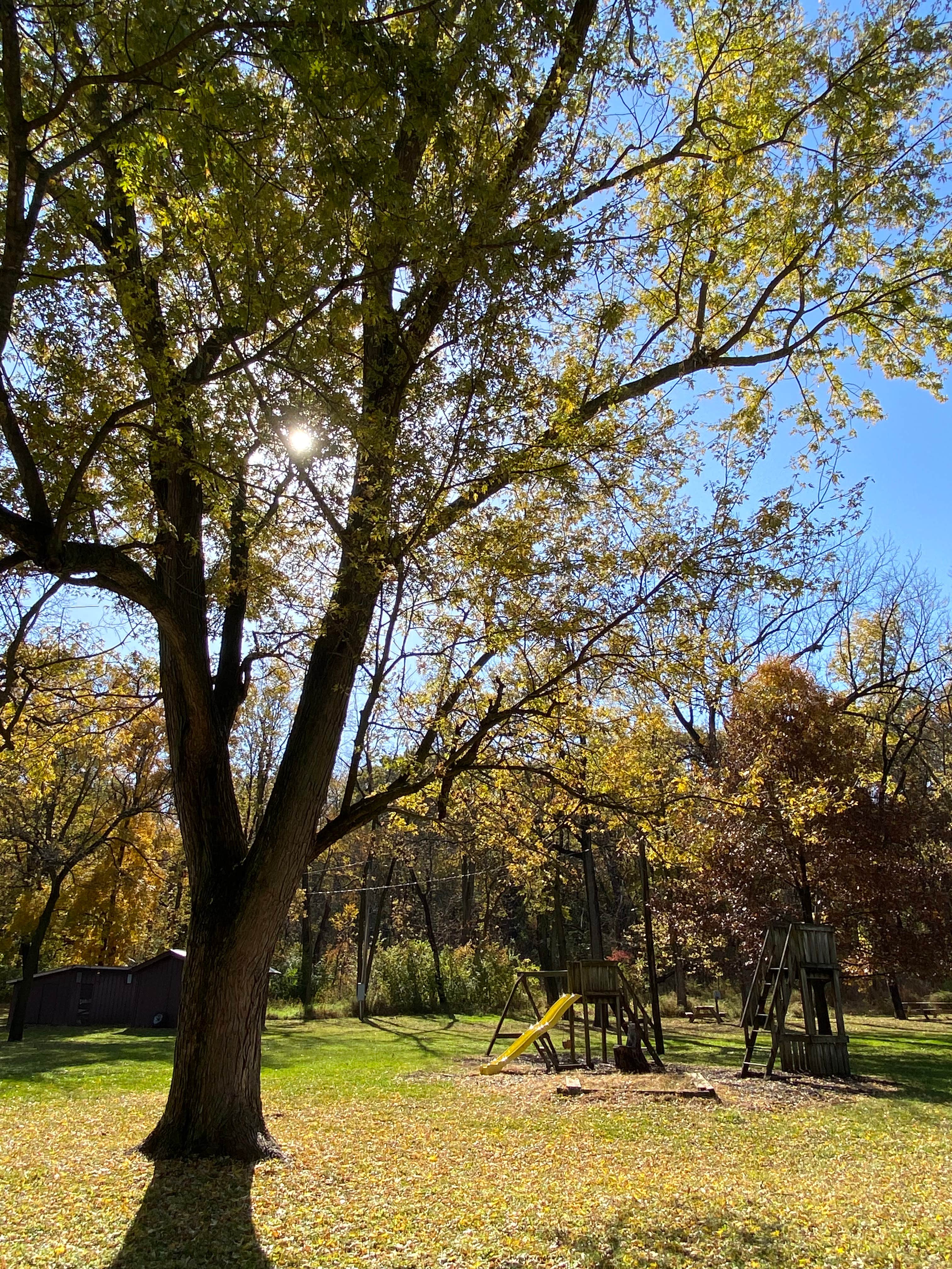 Camper-submitted photo at Geneseo Izaak Walton League Campground - Members Only near Rock Island, IL