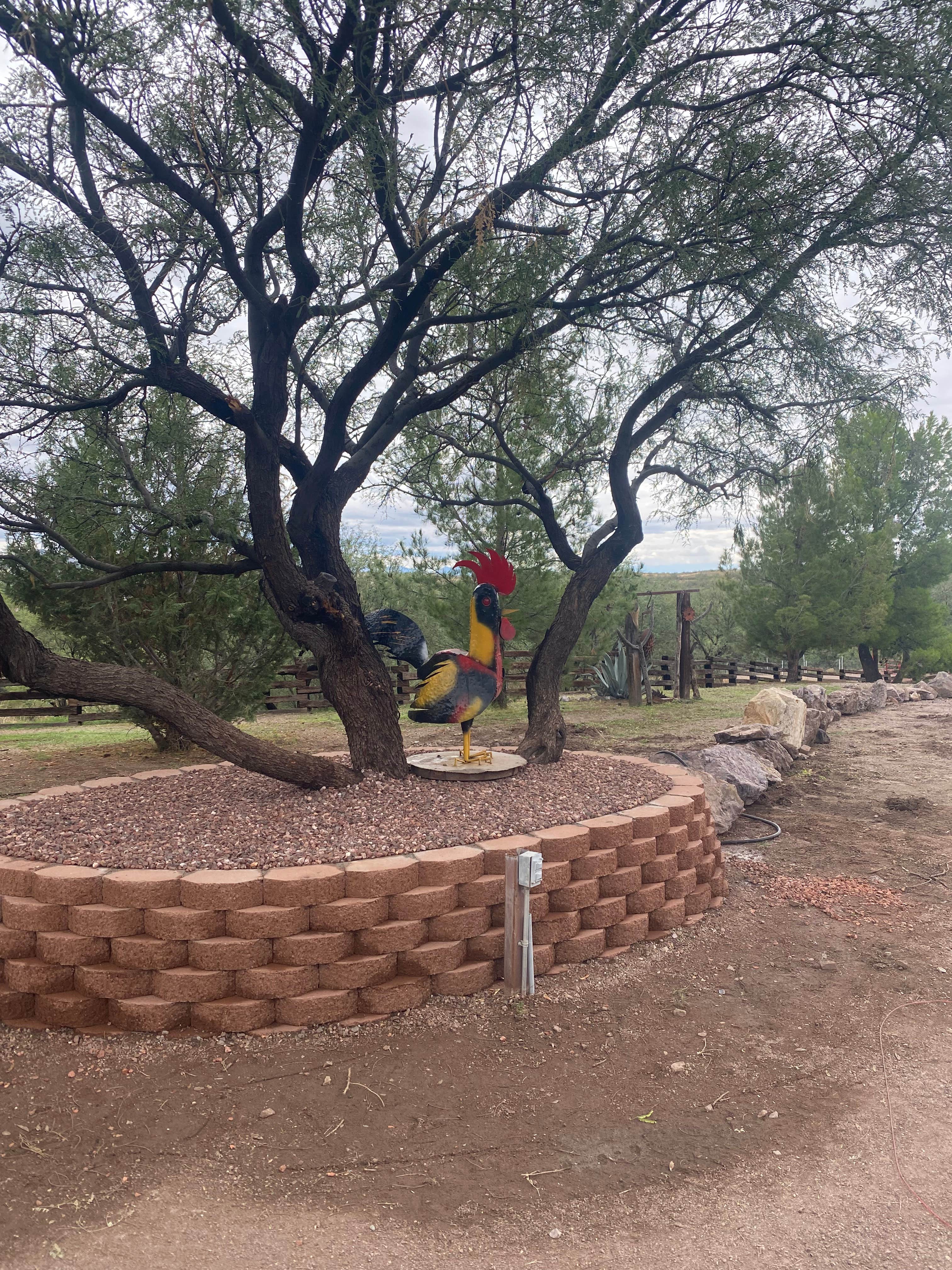 Camper submitted image from MESQUITE RANCH CAMPGROUND - 2