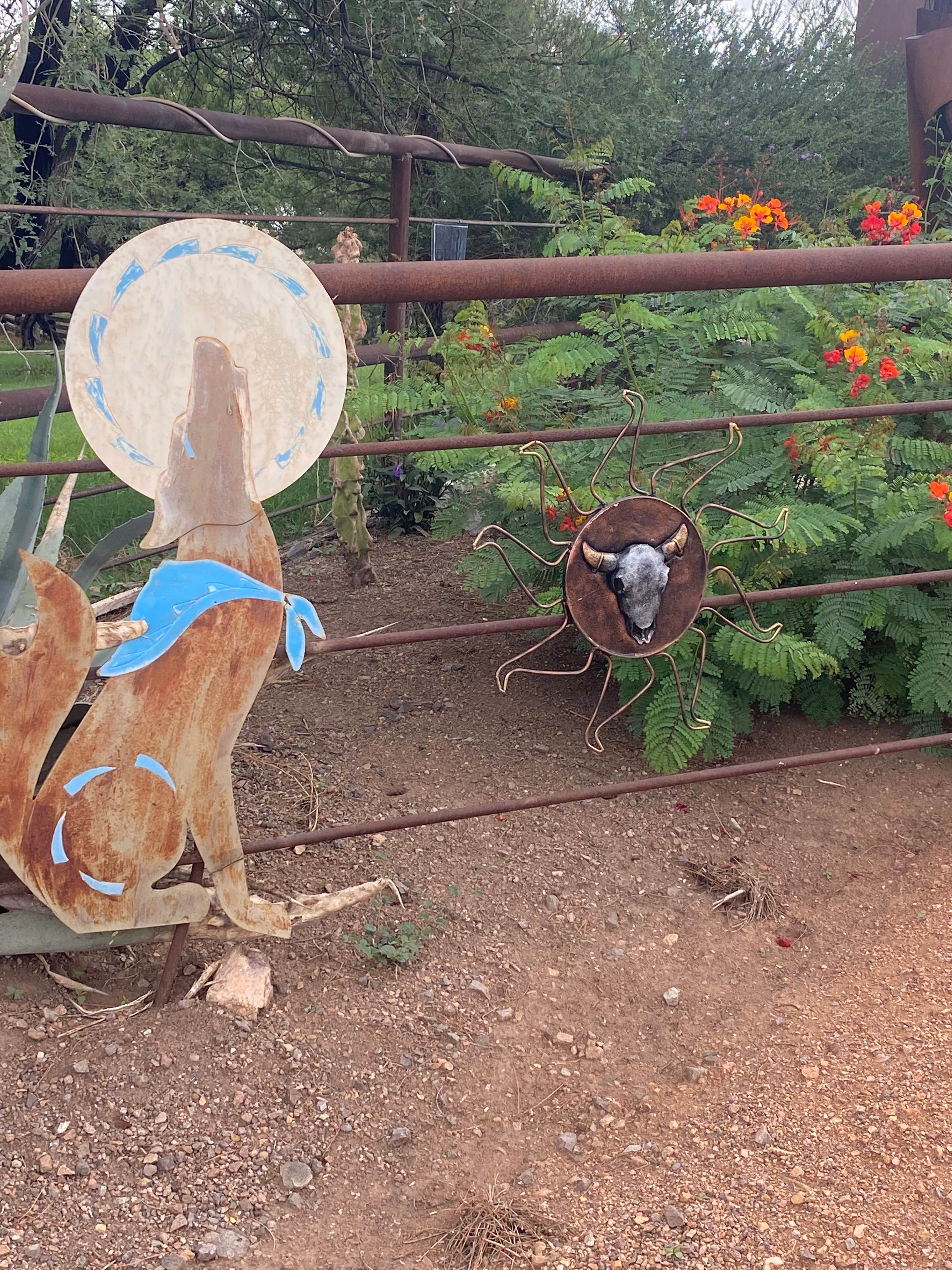 Camper-submitted photo at MESQUITE RANCH CAMPGROUND near Arivaca, AZ