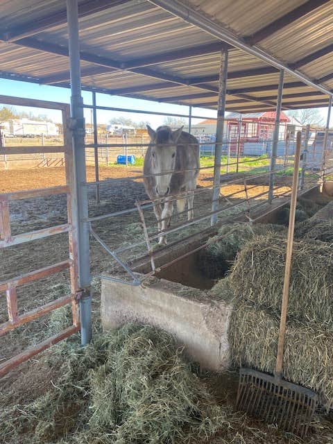Camper-submitted photo at MESQUITE RANCH CAMPGROUND near Sásabe, AZ