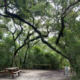 Review photo of Anastasia State Park Campground by Stuart K., September 28, 2025