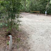 Review photo of Anastasia State Park Campground by Stuart K., September 28, 2025