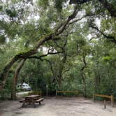 Review photo of Anastasia State Park Campground by Stuart K., September 28, 2025