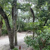 Review photo of Anastasia State Park Campground by Stuart K., September 28, 2025