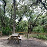 Review photo of Anastasia State Park Campground by Stuart K., September 28, 2025