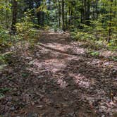 Review photo of Ashuelot River Campground by Rae-Ann W., September 29, 2025