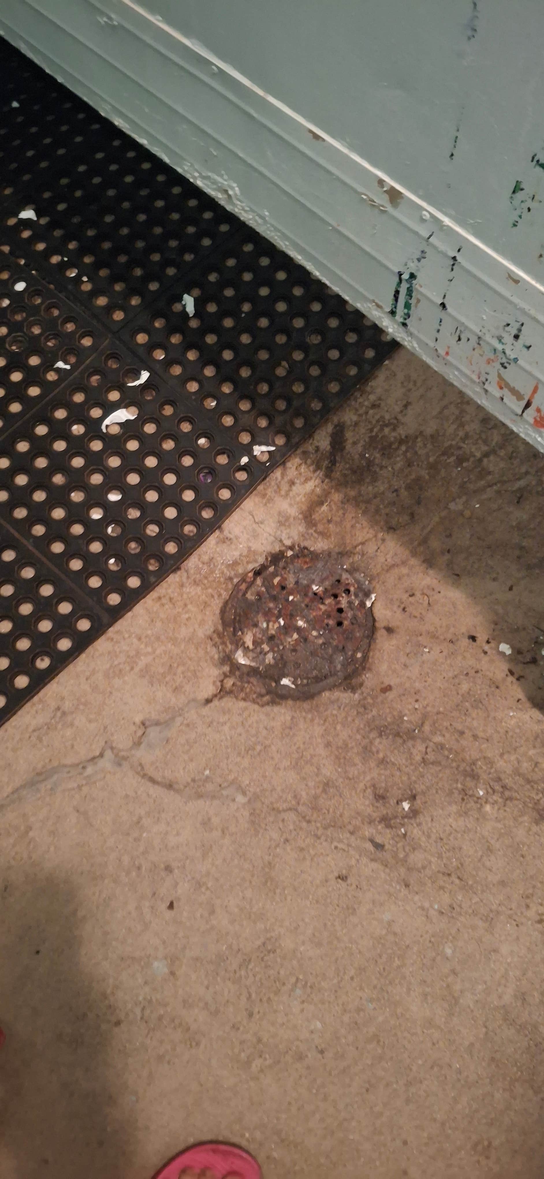 Camper-submitted photo at Bonanza Campground near Ramsey, IL